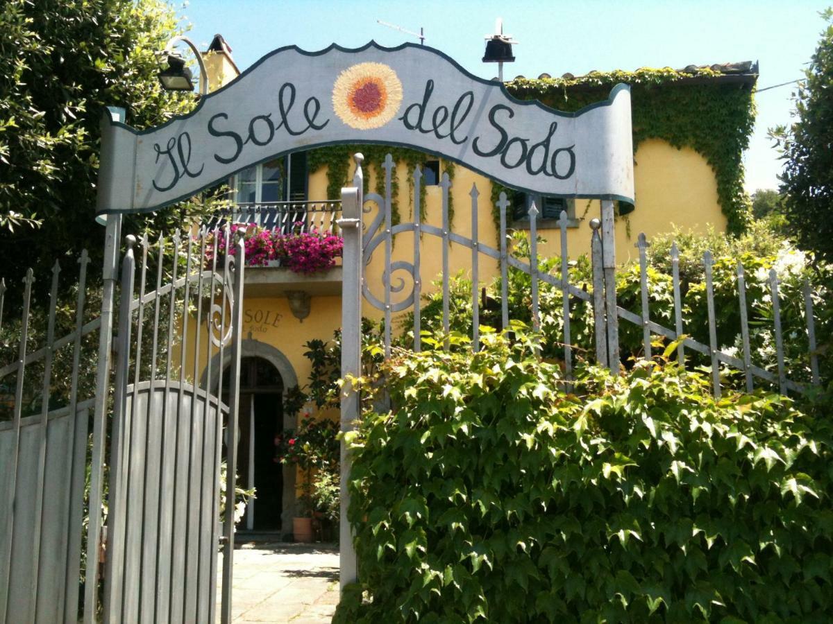 Gasthaus Il Sole Del Sodo Cortona Exterior foto